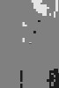 RN-117