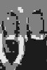 RN-316