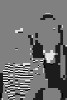 StJHG-028